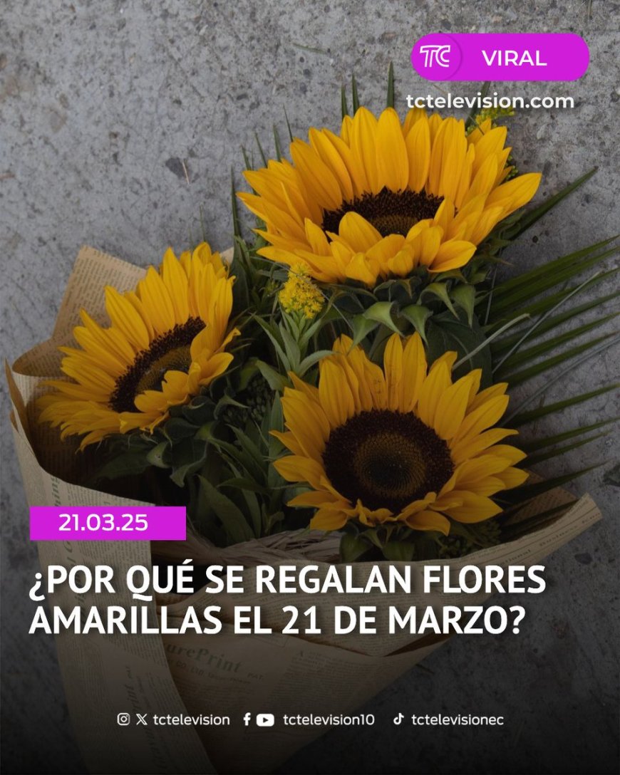 Flores Amarillas: Significado y Origen de la Tendencia Viral